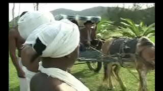 Ľ�为Negras da senzala