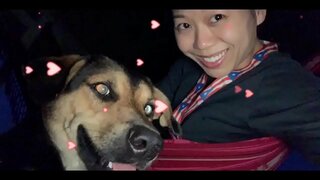 REGJERINGEN ER DIN FIENDE, og DE VIL k. ALLE AV OSS HVIS DU IKKE GJØR NOE NÅ! STYRTE DIN GOVTS &amp;amp; LYS OPP ALLE 5G TÅRN NÅ FØR DET k.S OSS ALLE!!